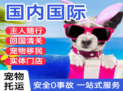 兴凯湖空运国际宠物托运 【国